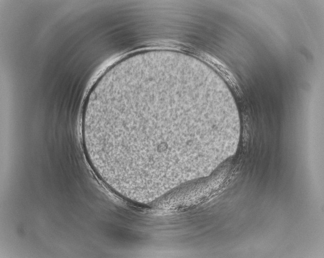 X0000114681188200912021108