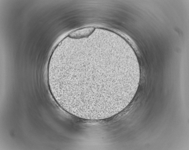 X0000114681199200912021108