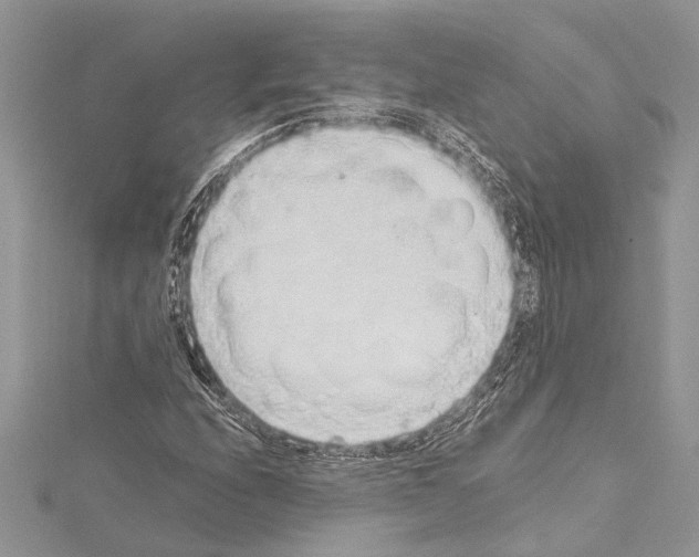 X0000114681208200912021108