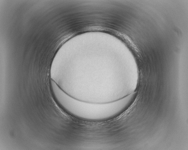X0000114681225200912021108