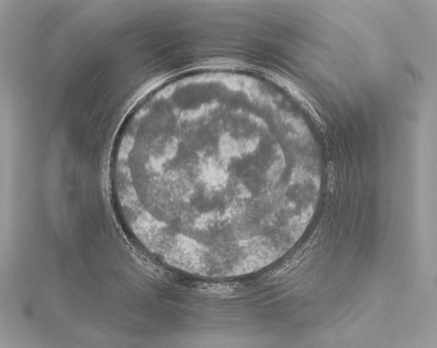 X0000114681229200912021108