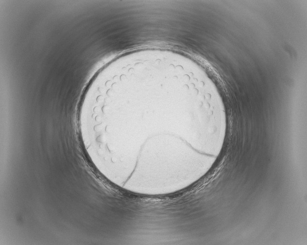 X0000114681230200912021108