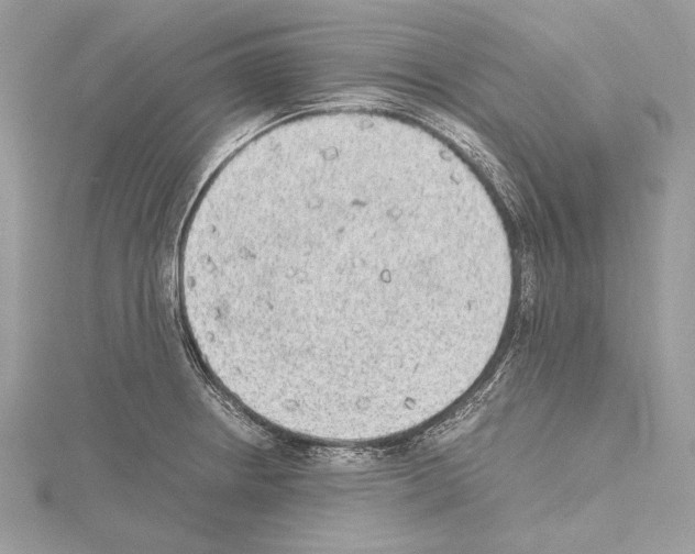 X0000114681234200912021108