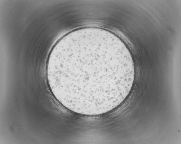 X0000114681240200912021108