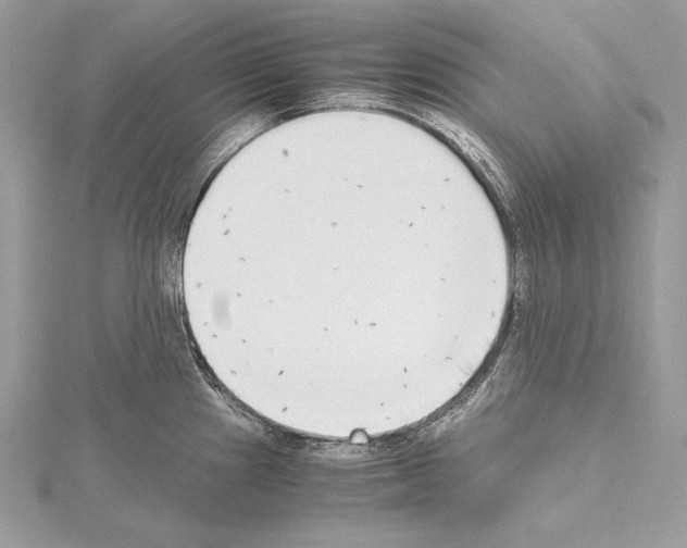 X0000114681241200912021108