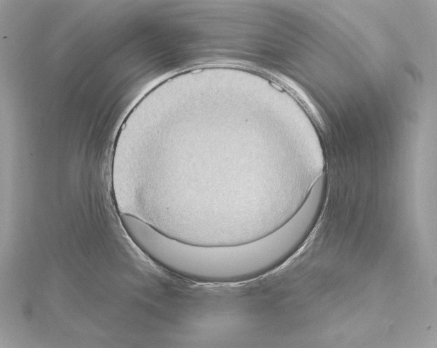 X0000114681244200912021108