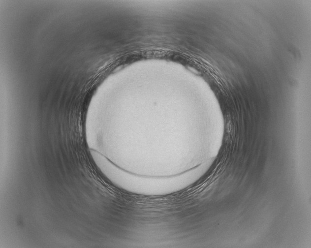 X0000114681252200912021107