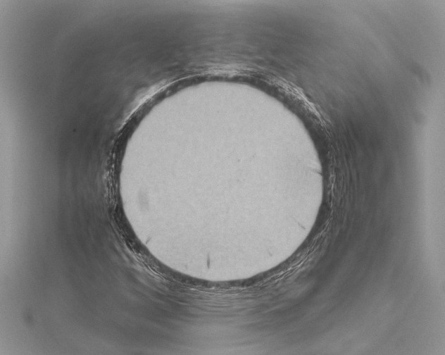 X0000114681256200912021107