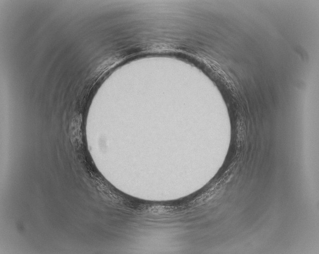 X0000114681265200912021107