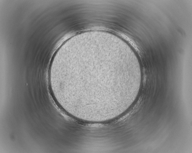 X0000114681282200912021107