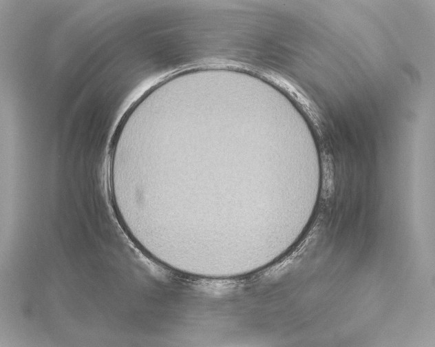 X0000114681286200912021107