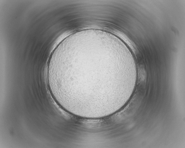X0000114681290200912021107
