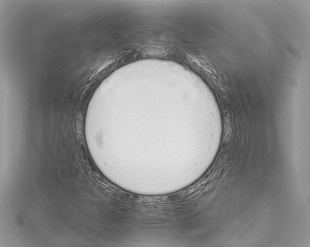 X0000114681301200912021106