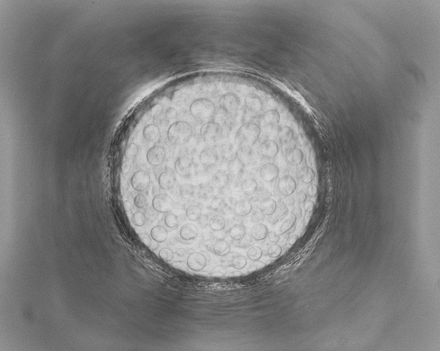 X0000114681311200912021107