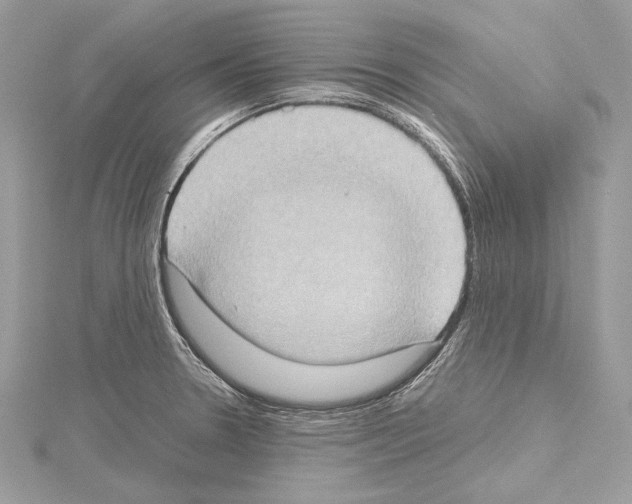 X0000114681330200912021107