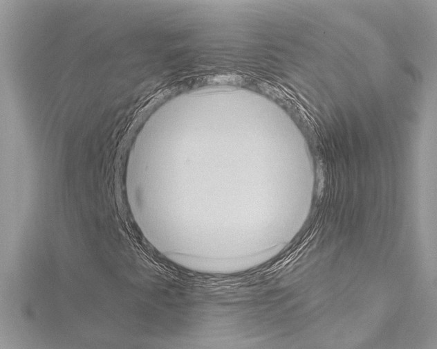 X0000114681345200912021106