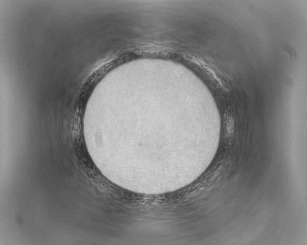 X0000114681350200912021106