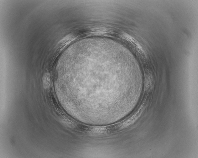 X0000114681353200912021106