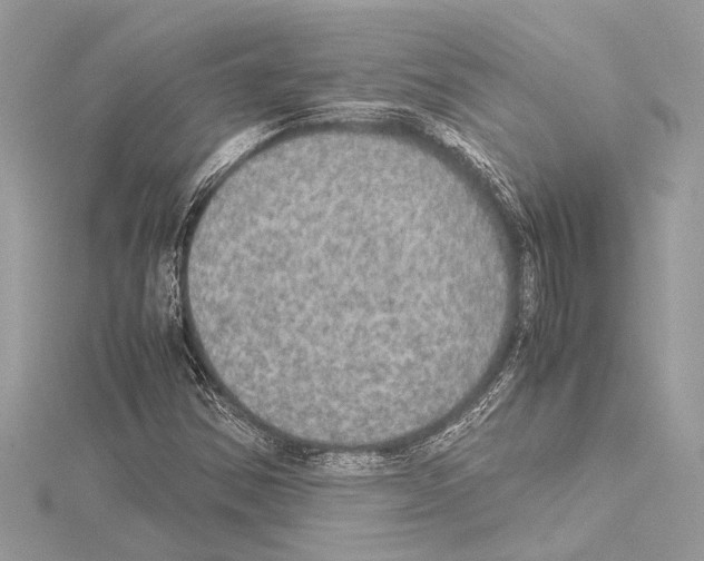 X0000114681354200912021106