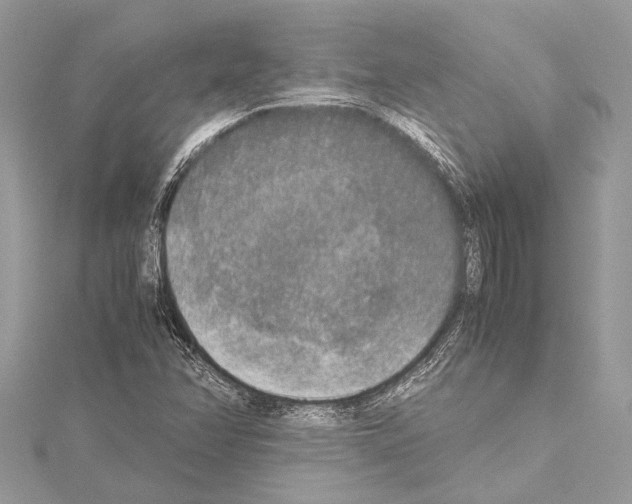 X0000114681358200912021106