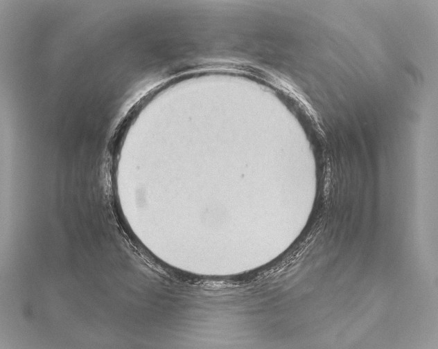 X0000114681360200912021106