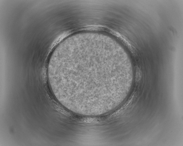 X0000114681362200912021106