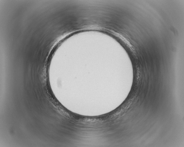 X0000114681364200912021106