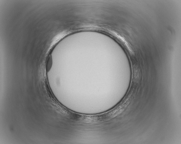 X0000114681365200912021106
