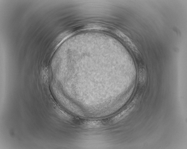 X0000114681369200912021106