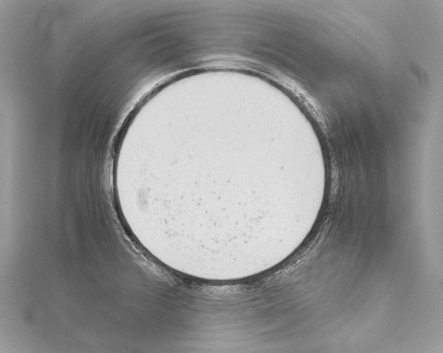 X0000114681376200912021106