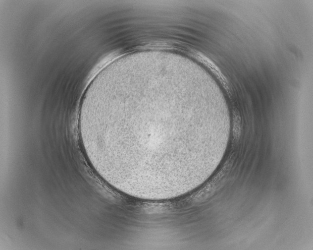 X0000114681378200912021106