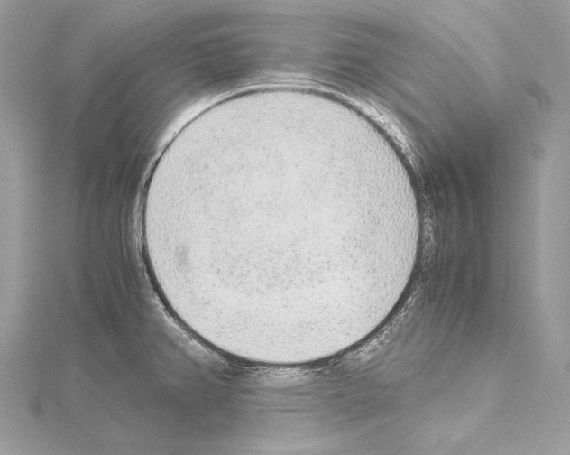 X0000114681382200912021106