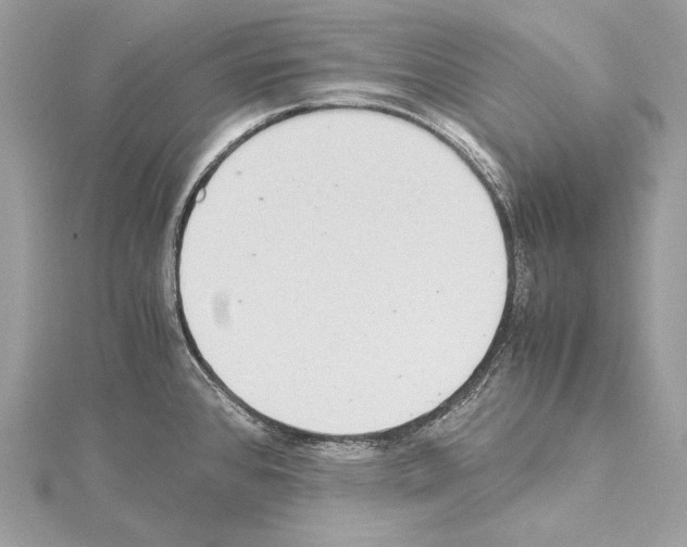 X0000114681384200912021106