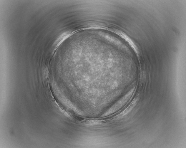 X0000114681385200912021106