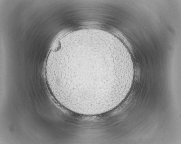 X0000114681386200912021106