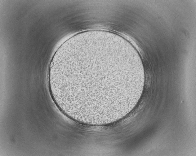 X0000114681387200912021106