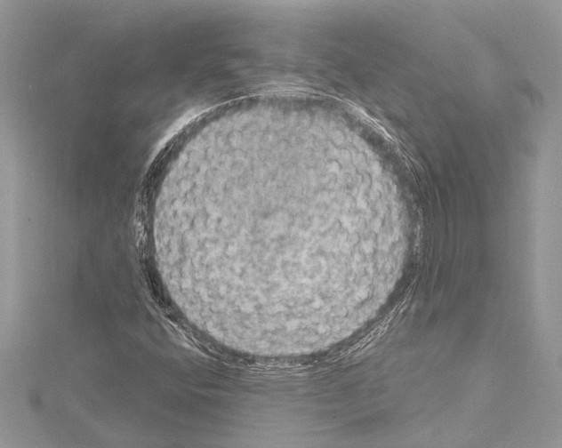 X0000114681400200912021105