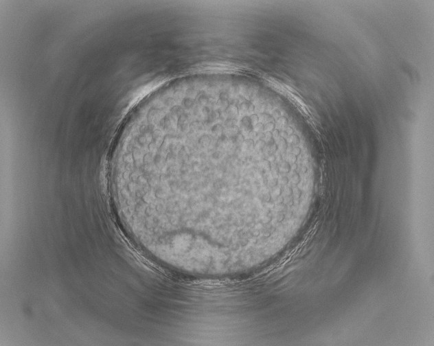 X0000114681404200912021105
