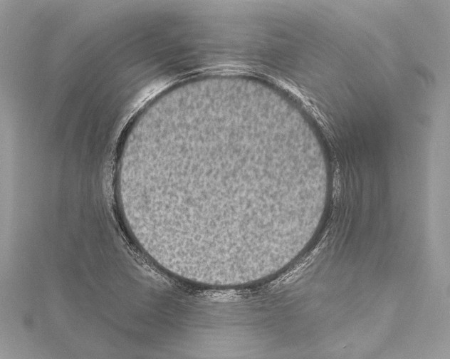 X0000114681410200912021105