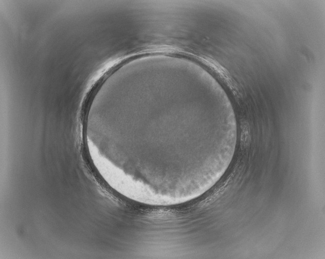 X0000114681414200912021105
