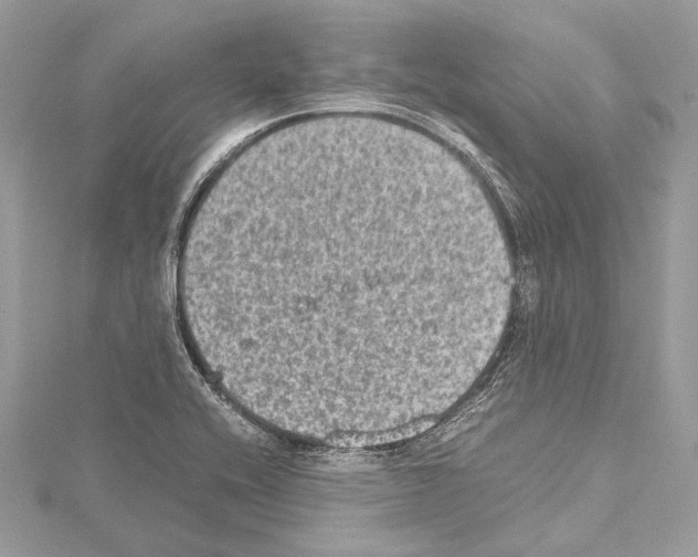 X0000114681416200912021105