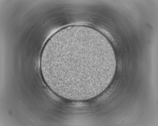 X0000114681420200912021105