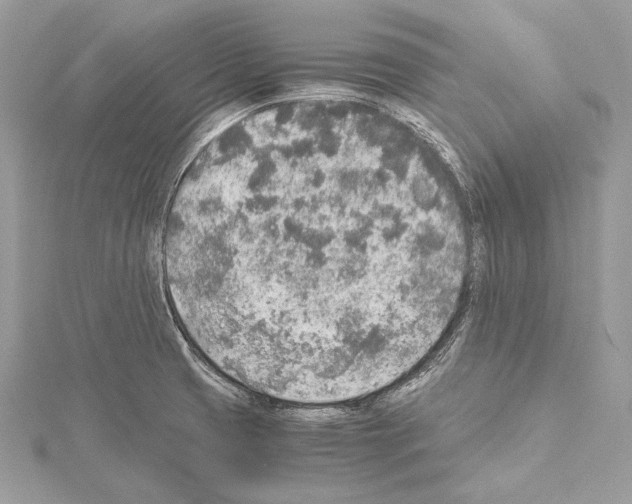 X0000114681425200912021106