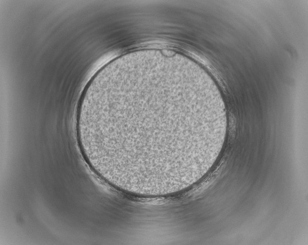 X0000114681426200912021106