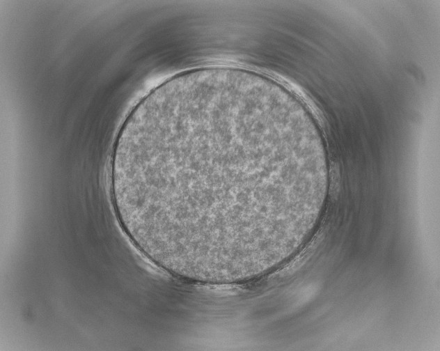 X0000114681432200912021106