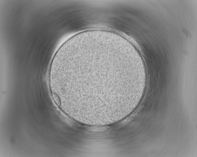 X0000114681440200912021106