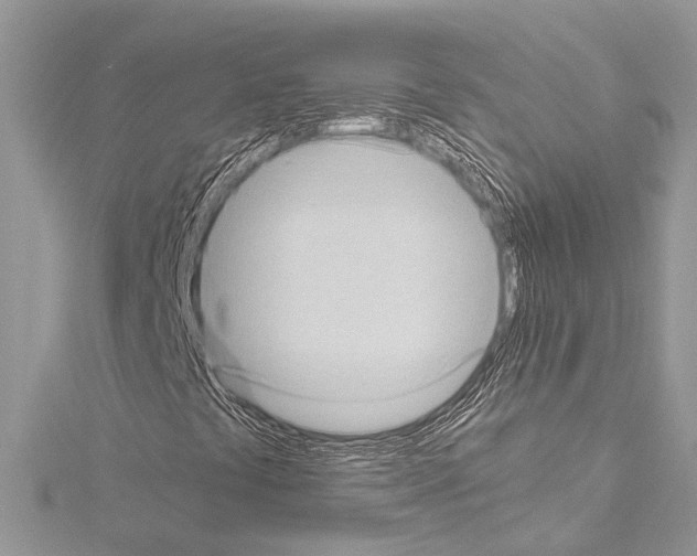 X0000114681441200912021105