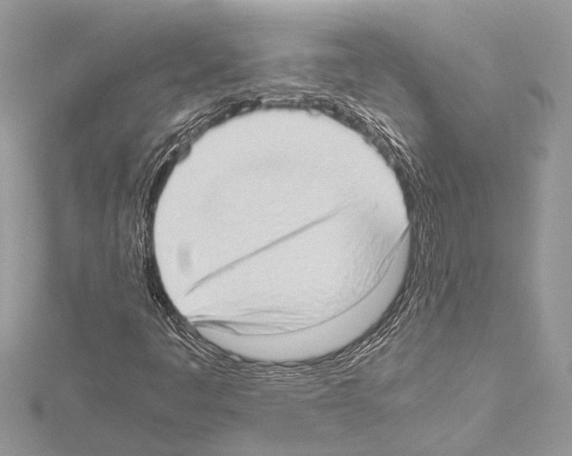 X0000114681445200912021105