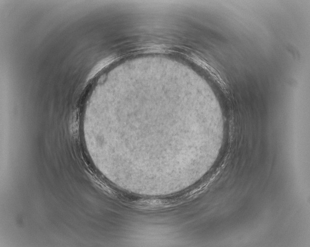 X0000114681450200912021105