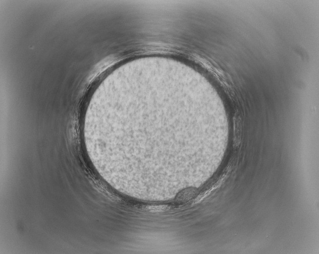 X0000114681453200912021105